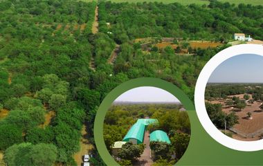 SANCTUARY (ABHYARANYA) SUPPORT